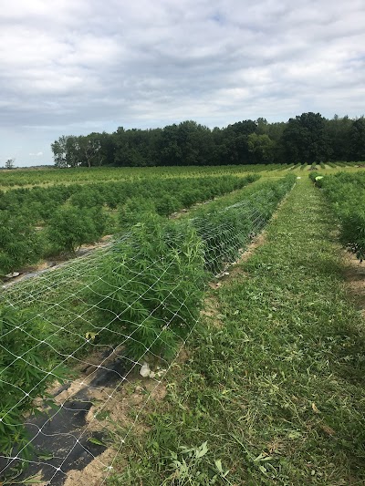 Hemp Haven Farms, LLC