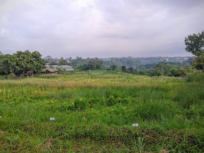 Photos of Kebun Percobaan Cikabayan