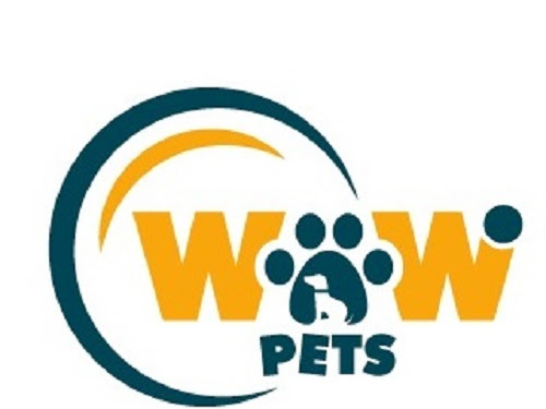 Wow Home Cat Boarding now open post image