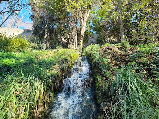 Alhambra Forest - Visual