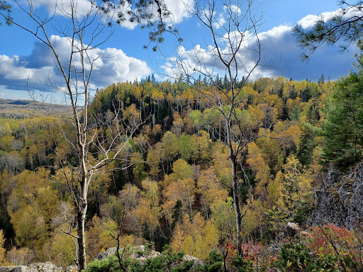Pearson wetlands Trail - Thumbnail