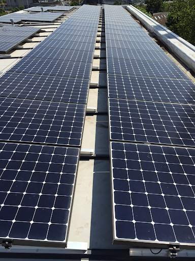 Northern power projects ltd