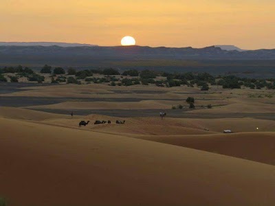 Photos of Marrakech Camel trips
