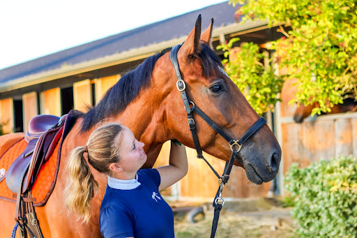 Espace Equestre de Mazerolles - Thumbnail