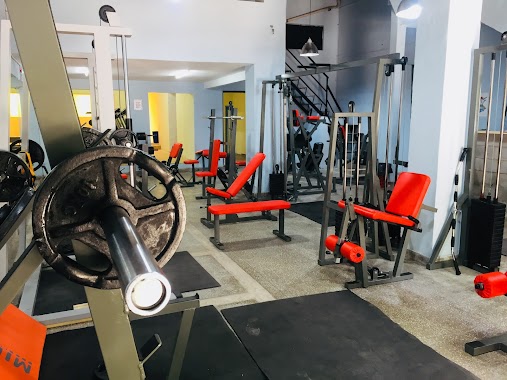 Claws Gym, Author: Florencia Cardozo