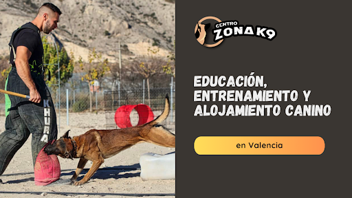 Hotel para perros Centro Zona K9
