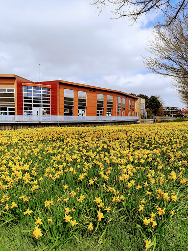 RK Basisschool De Caegh - Thumbnail