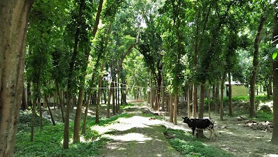 Photos of Bholahat Upazila Family Planning Office