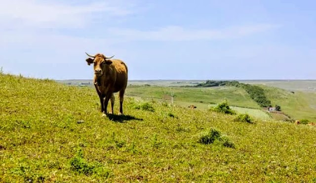 Alentejo