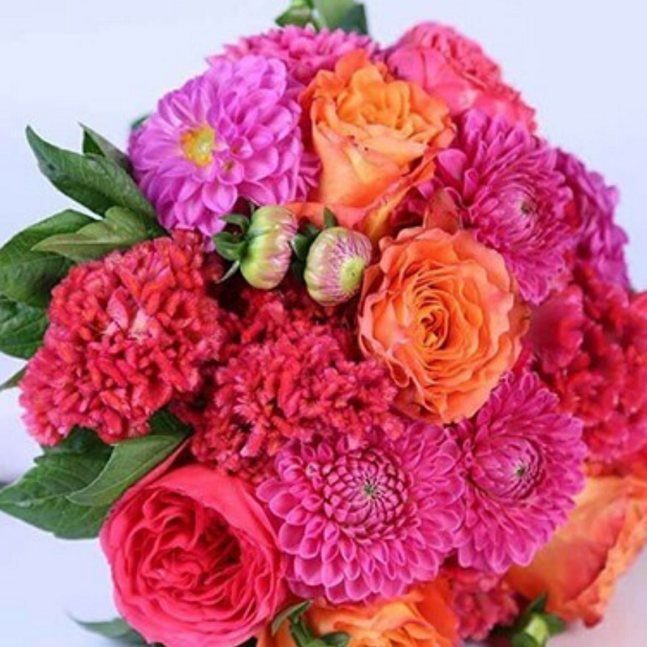 North Raleigh Florist Florist in Raleigh