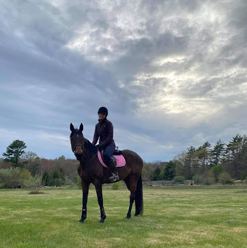 Full Circle Equestrian