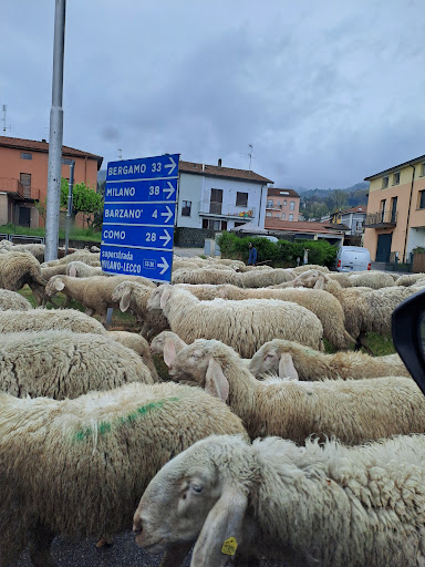 Comune Di Dolzago (Ufficio Protocollo) - Thumbnail