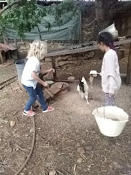 Photo n°7 de Camping de la ferme du Soulié à Villeneuve (Camping à la ferme)
