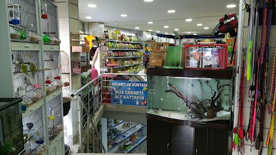 Pet Store İstanbul - Pet Shop