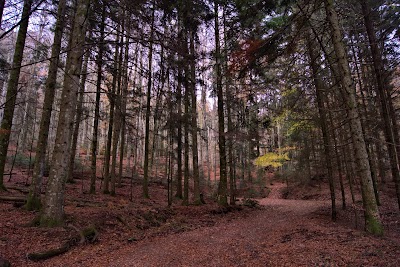 Centro Visite Parco riserva naturale