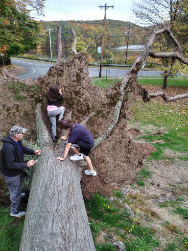 Eli Whitney Park - Thumbnail