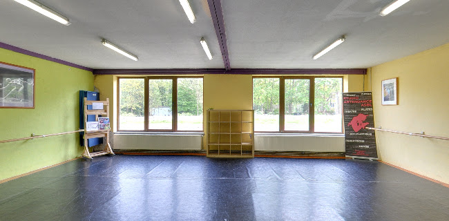 Studio Artendance - Dansschool