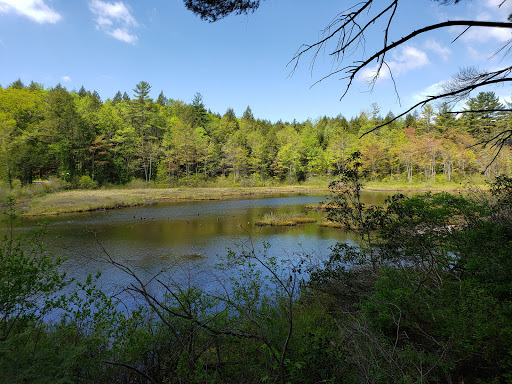 Erving State Forest - Visual