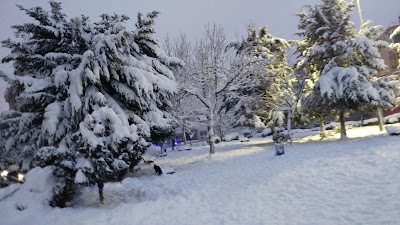 Photos of Kıbrıs Parkı