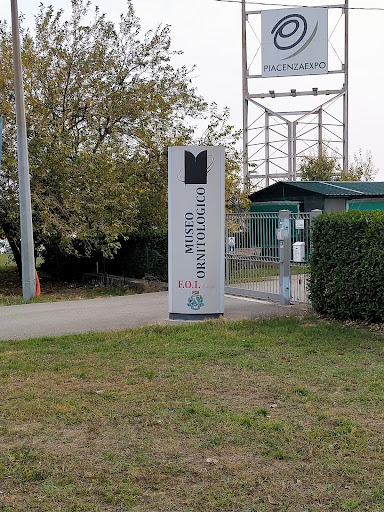Museo Ornitologico - Piacenza - Thumbnail