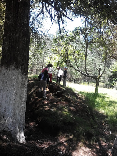 La Chivería