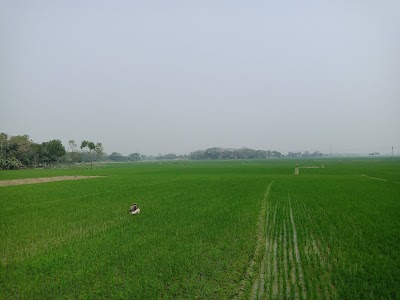 Photos of আলম ইলেকট্টনিক্স এন্ড ফার্নিচার মার্ট