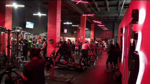 Eleven gym