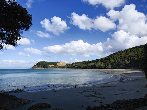 Tawhitokino Campground - Thumbnail