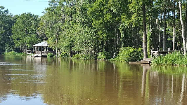 Honey Island Swamp Tours