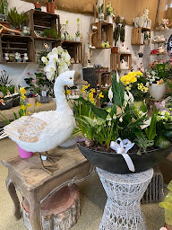 Photo n°11 de Celiflor à Cocheren (Fleuriste)