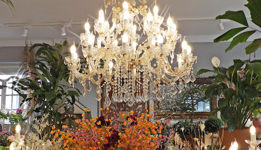 Blumenreich Floristmeister Robert Teckhaus - Thumbnail
