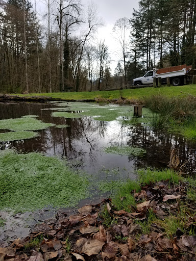 Crabtree Park - Thumbnail