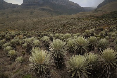 Photos of Sumapaz P&aacute;ramo
