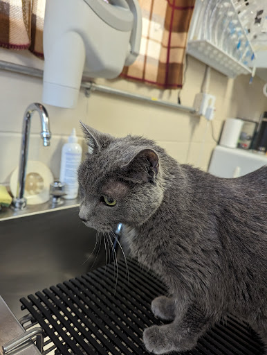 Miller Trunk Veterinary Clinic Gallery - United States