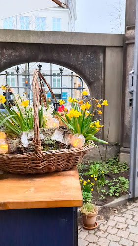 Café spirrevippen - Café