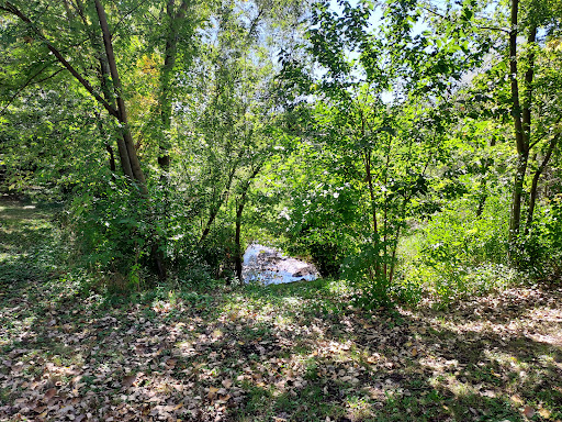 Memory Lane Natural Area Gallery - United States