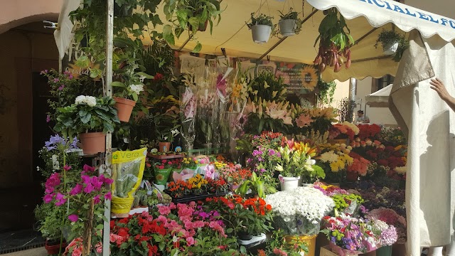 Mercado El Fontan