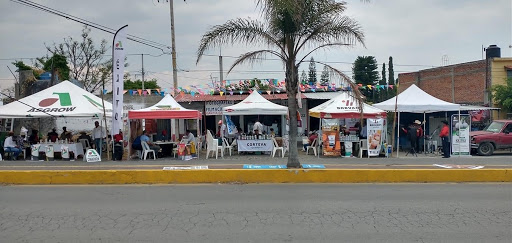 Agroquimicos "El Amigo Chente" - Mexico