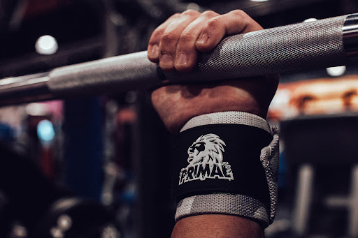 Primal Power - Visual