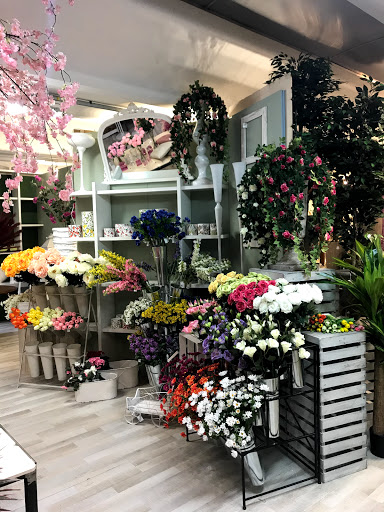 Flor Idea - Visual