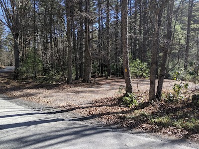 Allegheny Trail (Seneca State Forest Trail-head)