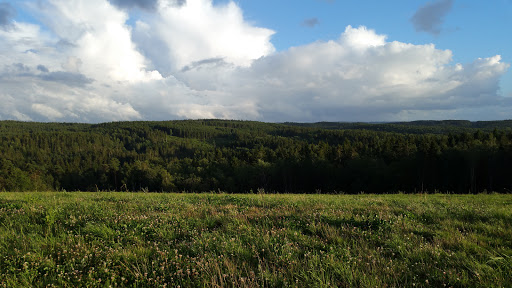Alingsås Hundkapplöpning