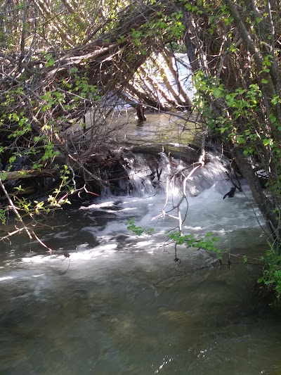 Davis Canyon Overflow Campground