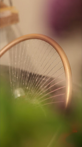 Rivieree Scalp Treatment & Spa by null