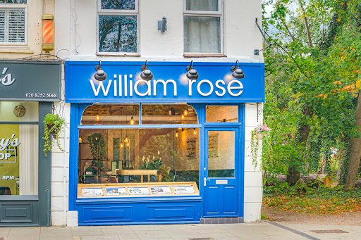 william rose - Visual