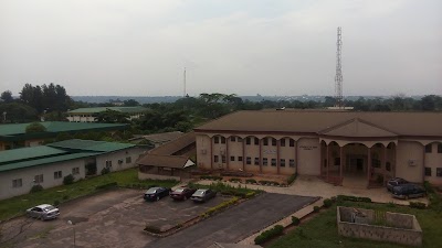 university