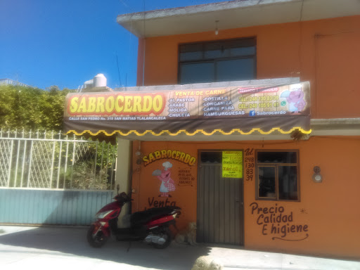 Sabrocerdo - Visual