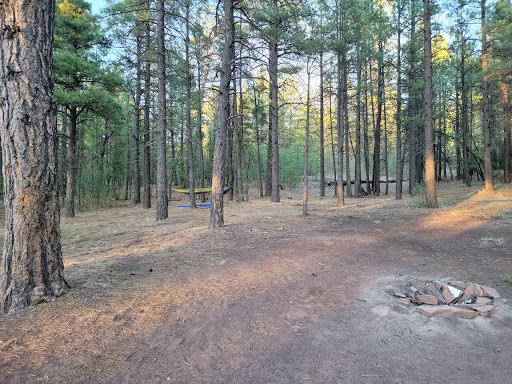 McGaffey Campground Gallery - United States