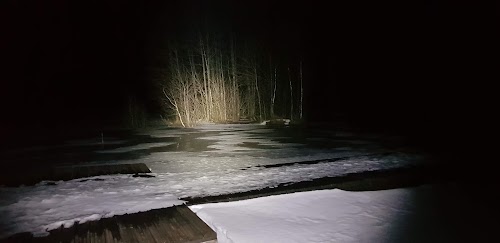 järv