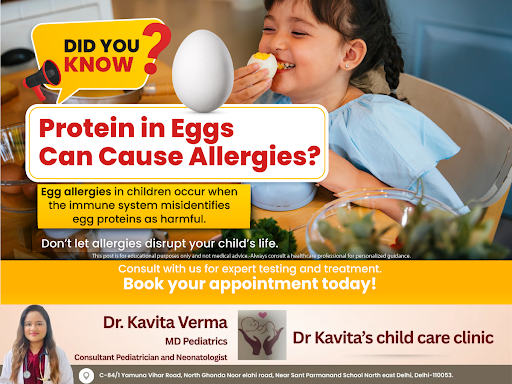 Egg allergies occur when the immune system mistakes egg proteins for harmful substances, especial…